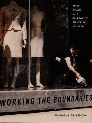 cover image of Working the Boundaries